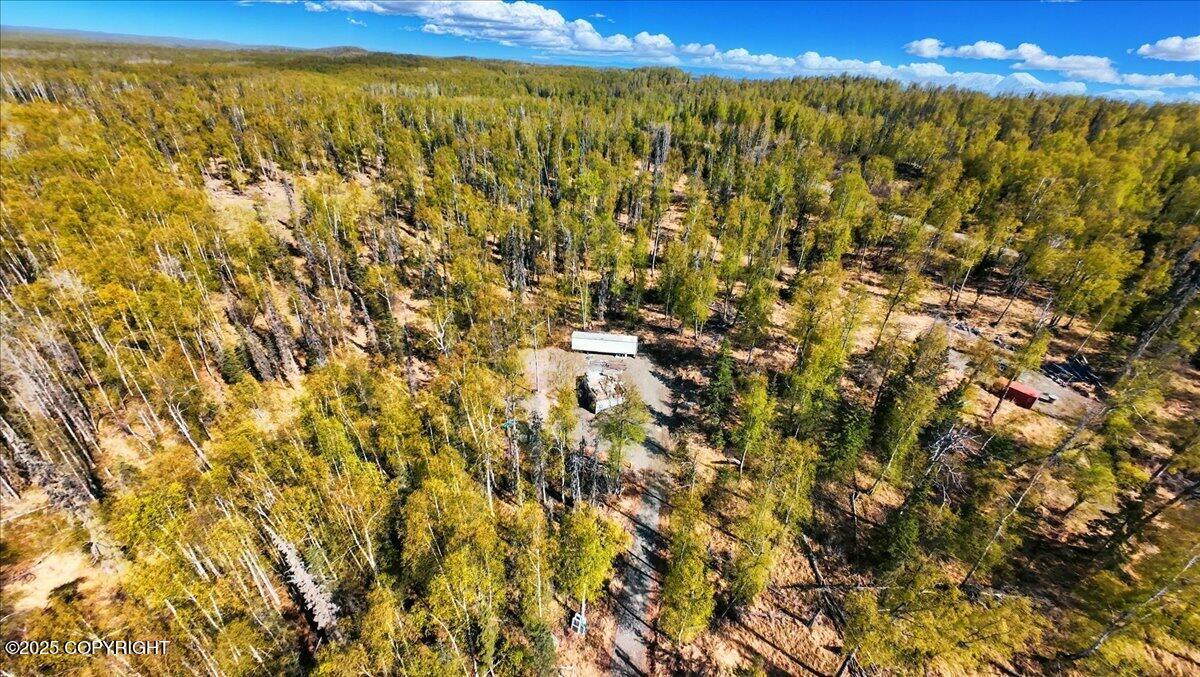 21325 W Moore Road, Wasilla, Alaska image 3