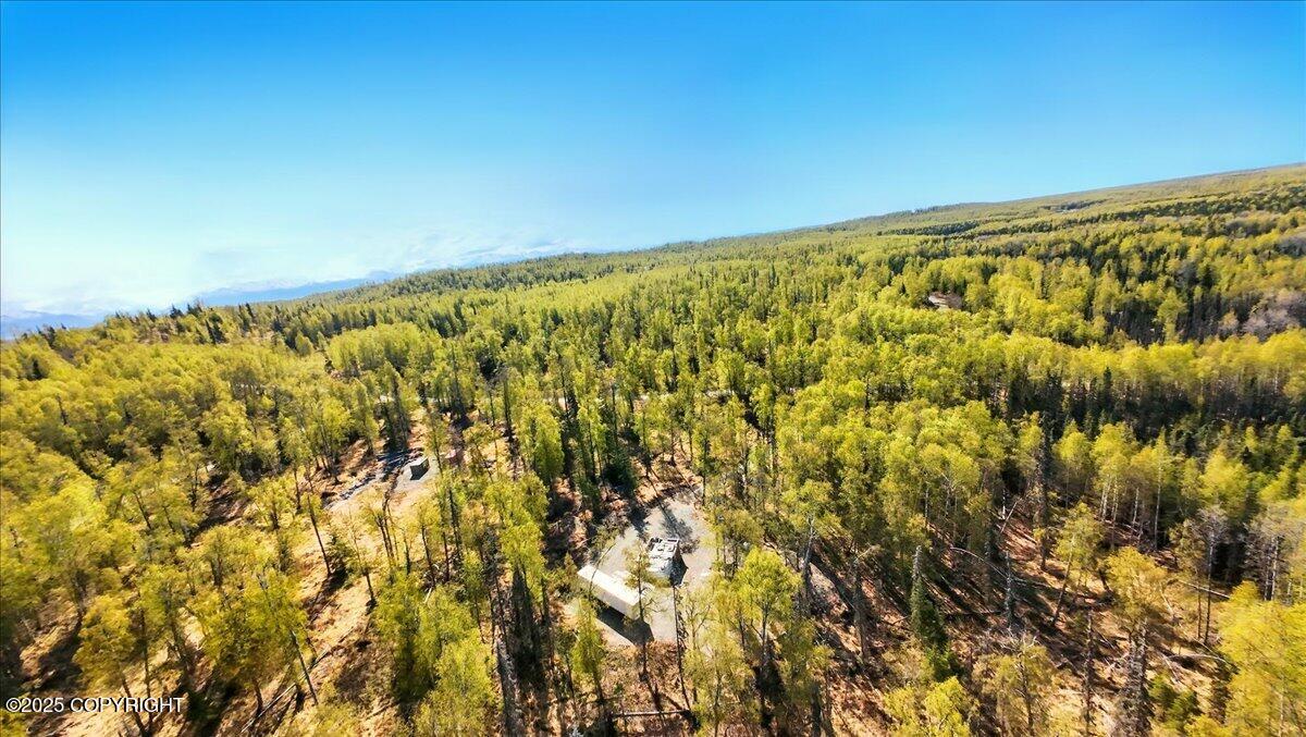 21325 W Moore Road, Wasilla, Alaska image 4
