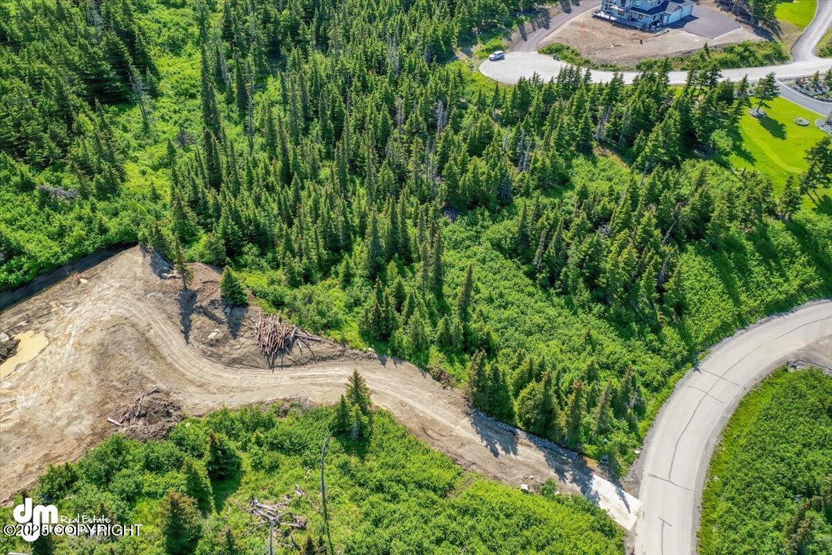 L6 B4 Mountain Breeze Drive, Anchorage, Alaska image 13