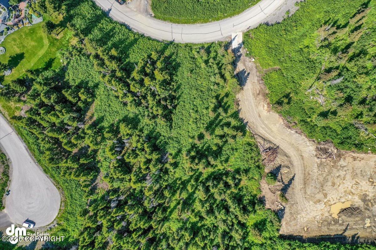 L6 B4 Mountain Breeze Drive, Anchorage, Alaska image 14