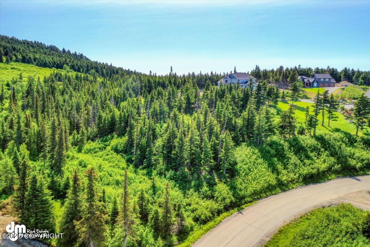 L6 B4 Mountain Breeze Drive, Anchorage, Alaska image 9