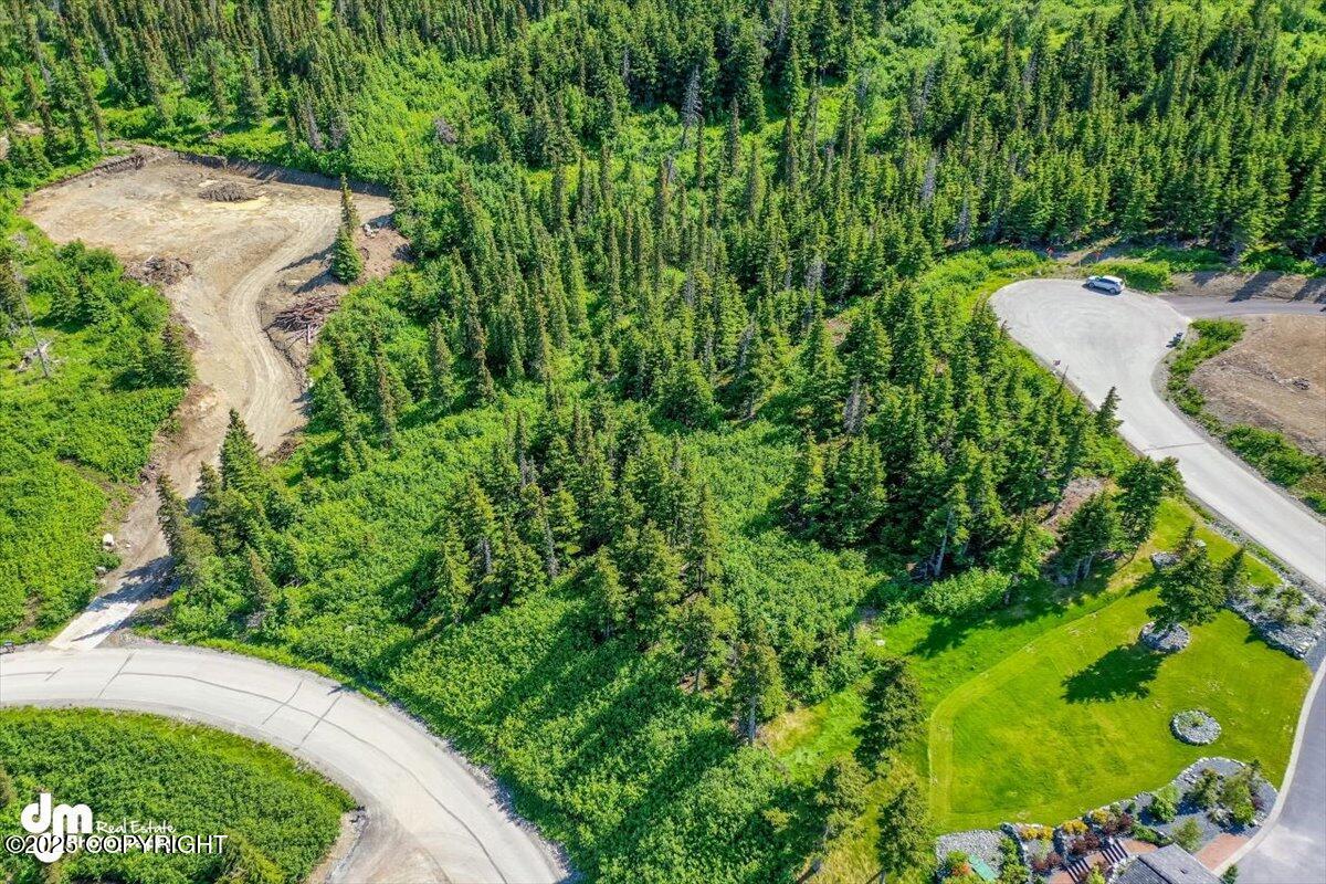 L6 B4 Mountain Breeze Drive, Anchorage, Alaska image 7
