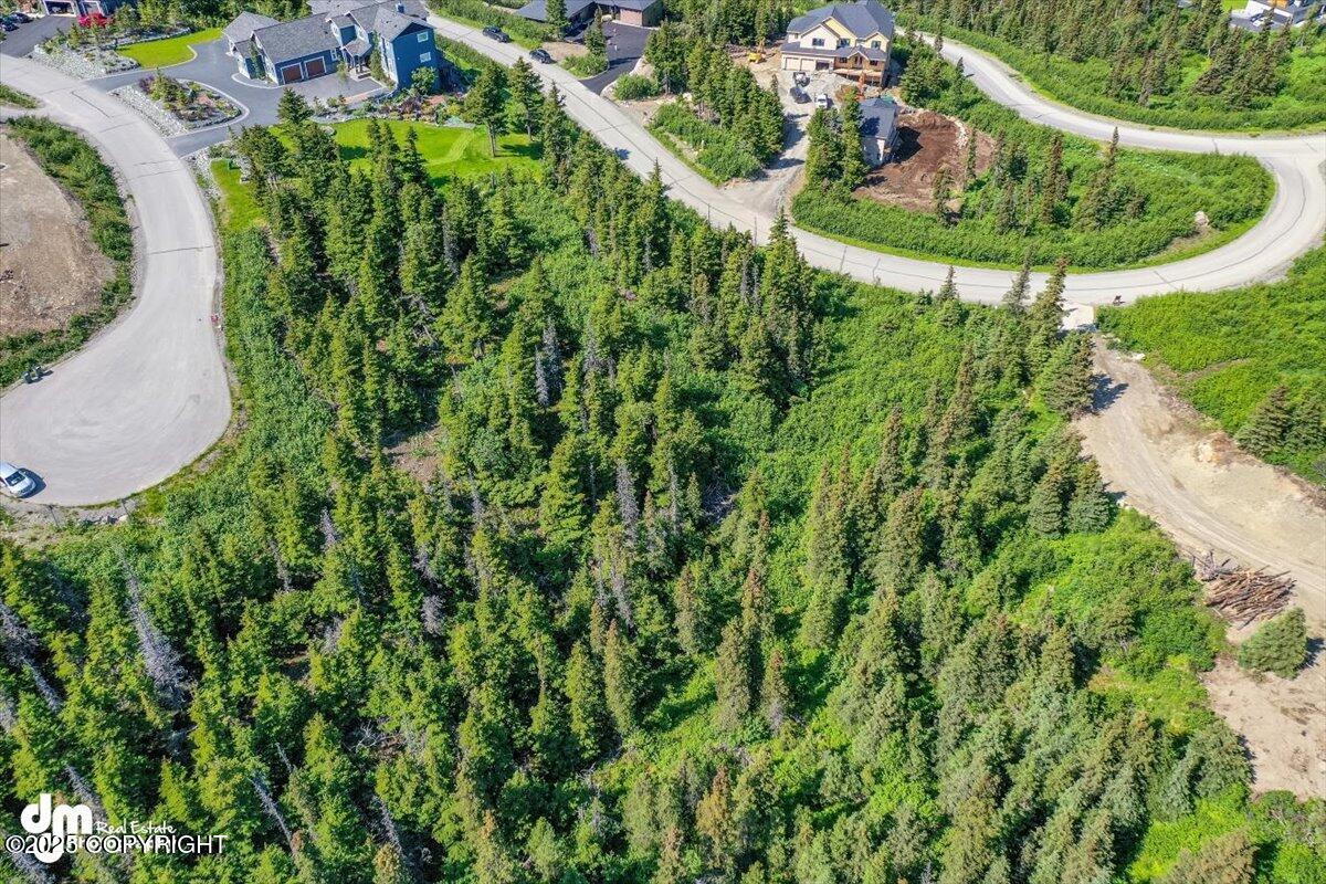 L6 B4 Mountain Breeze Drive, Anchorage, Alaska image 12