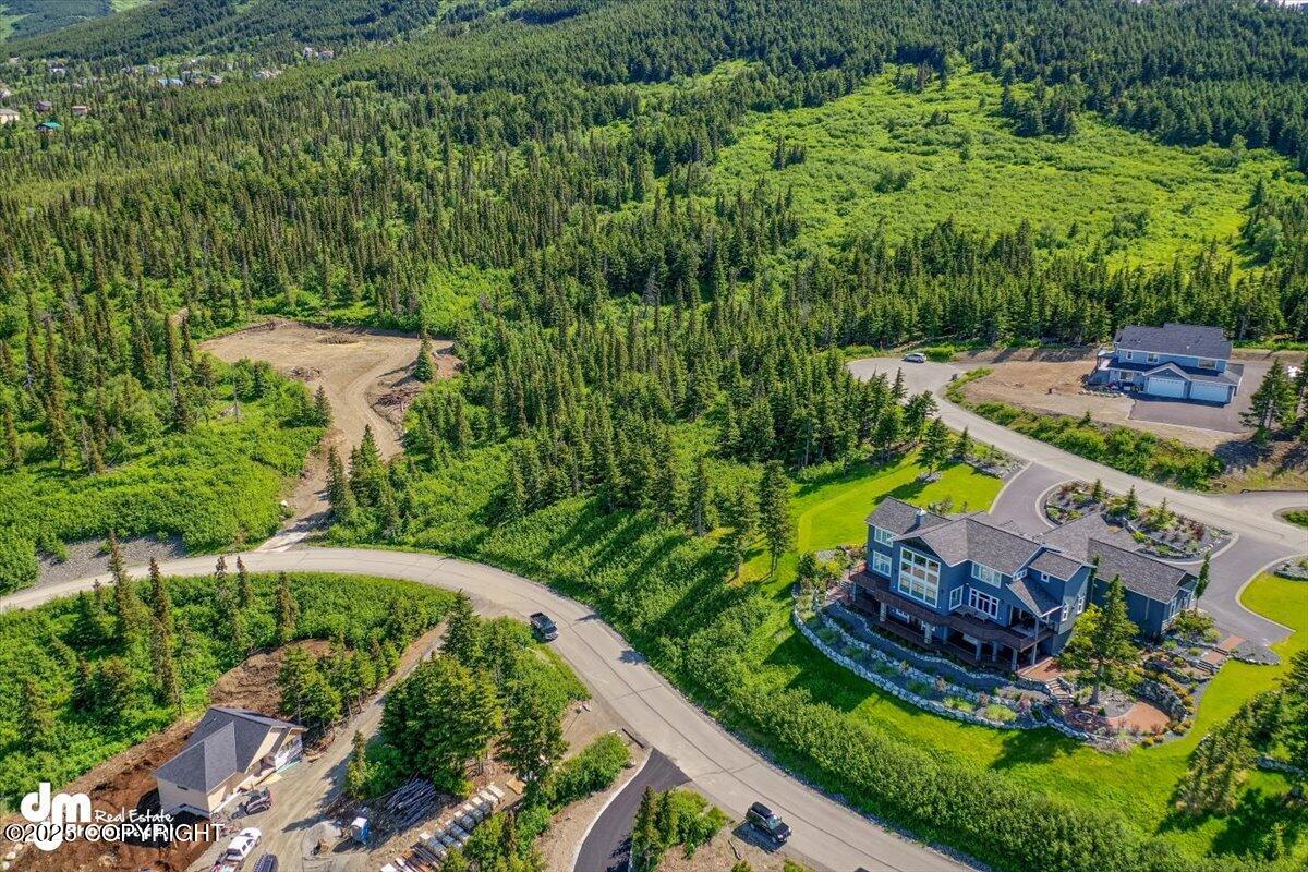 L6 B4 Mountain Breeze Drive, Anchorage, Alaska image 8