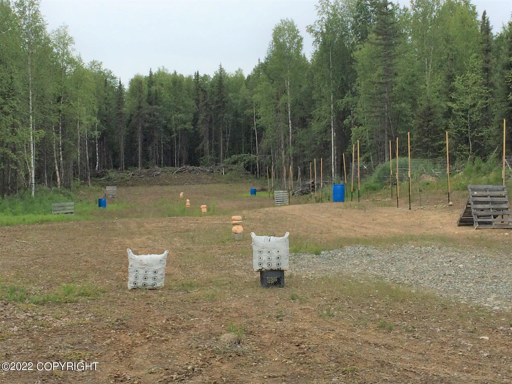 39728 S Leroy Davies Road, Talkeetna, Alaska image 40