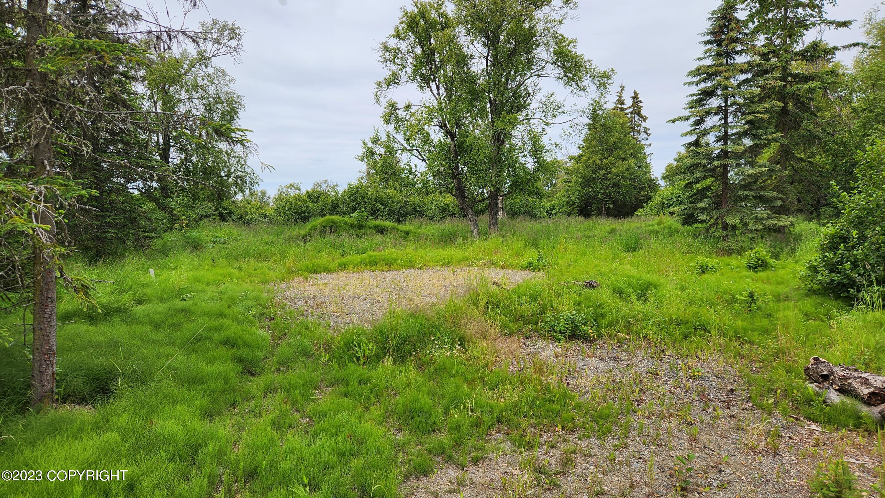 60522 Jannys Avenue, Clam Gulch, Alaska image 2