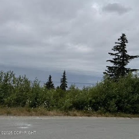 Vacant Land For Sale - 18936 Scenic Hill Drive<br/> Anchorage, AK 99516