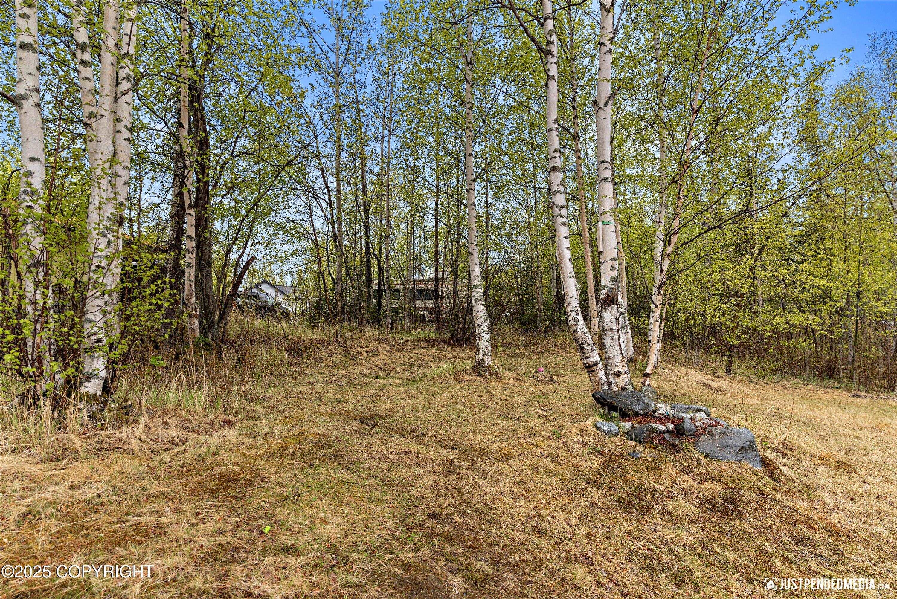 2435 N Ravens Flight Drive, Wasilla, Alaska image 41