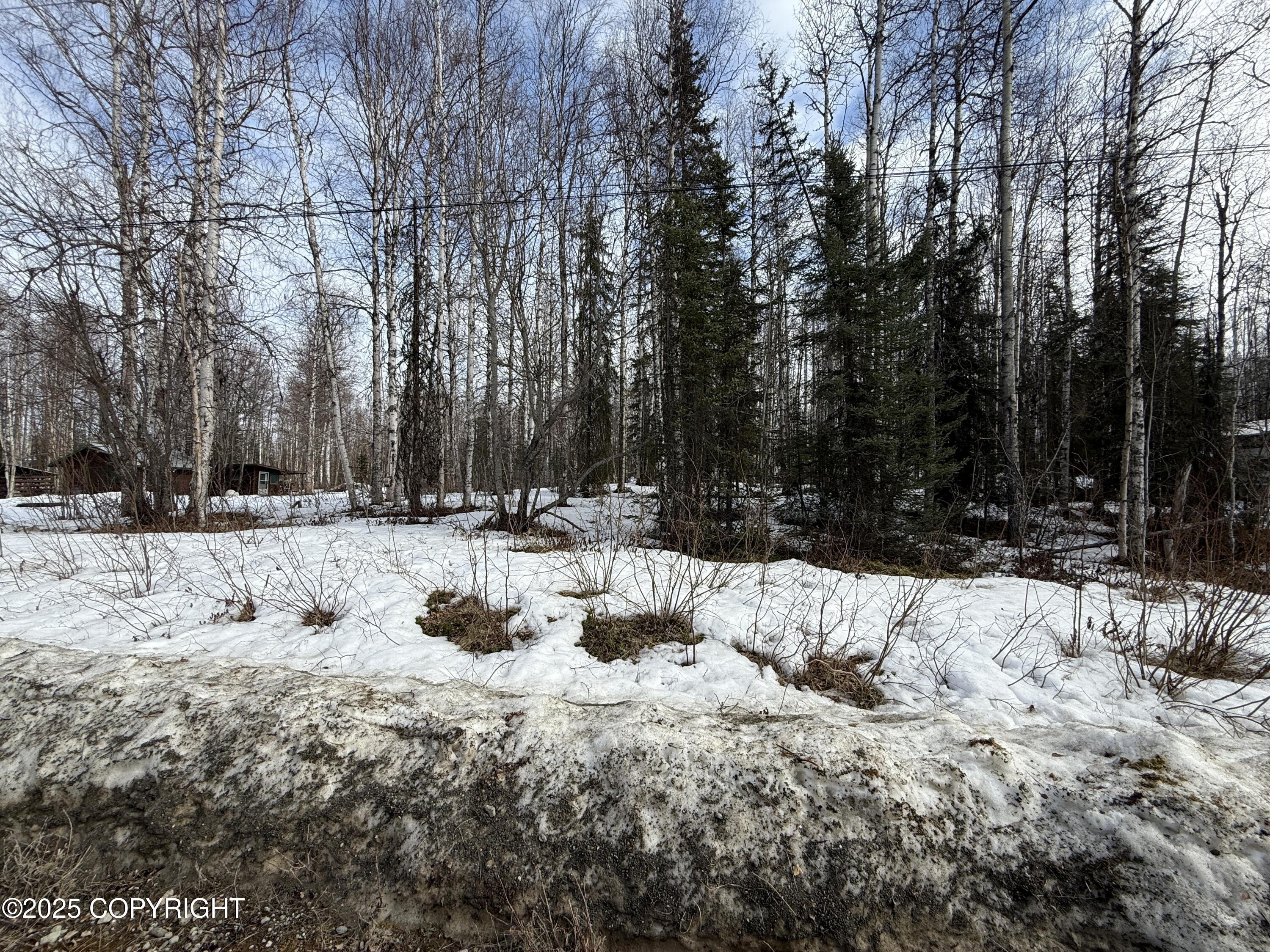 12913 N Pettis Drive, Willow, Alaska image 2