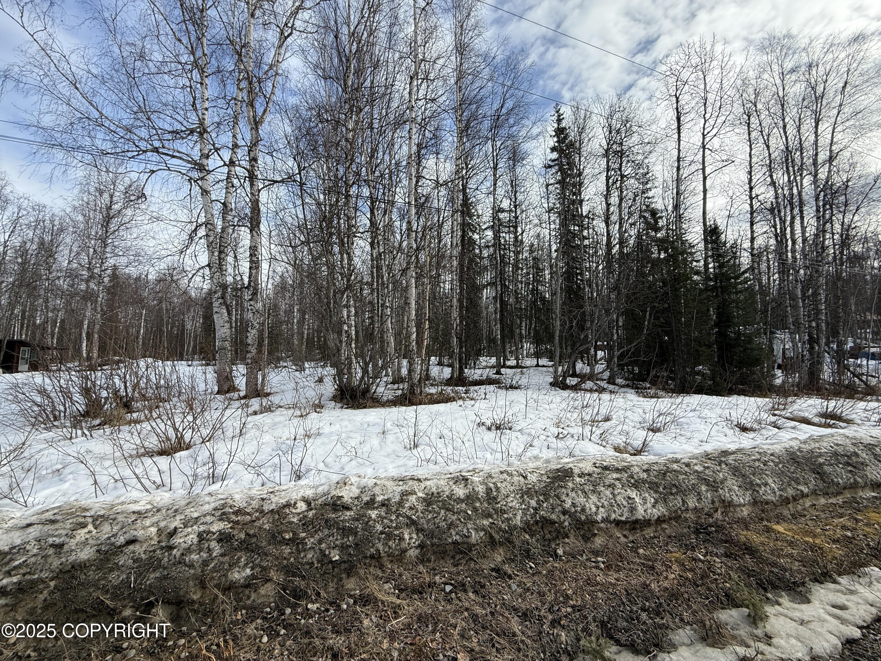 12913 N Pettis Drive, Willow, Alaska image 1