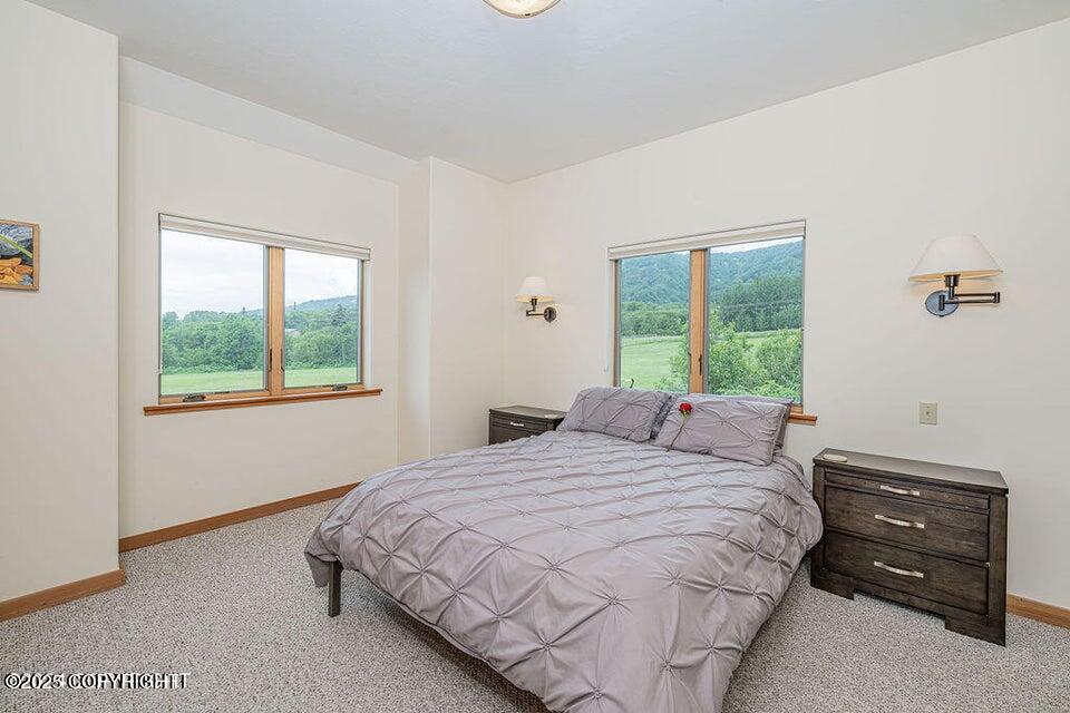 41345 Alan Street, Homer, Alaska image 29