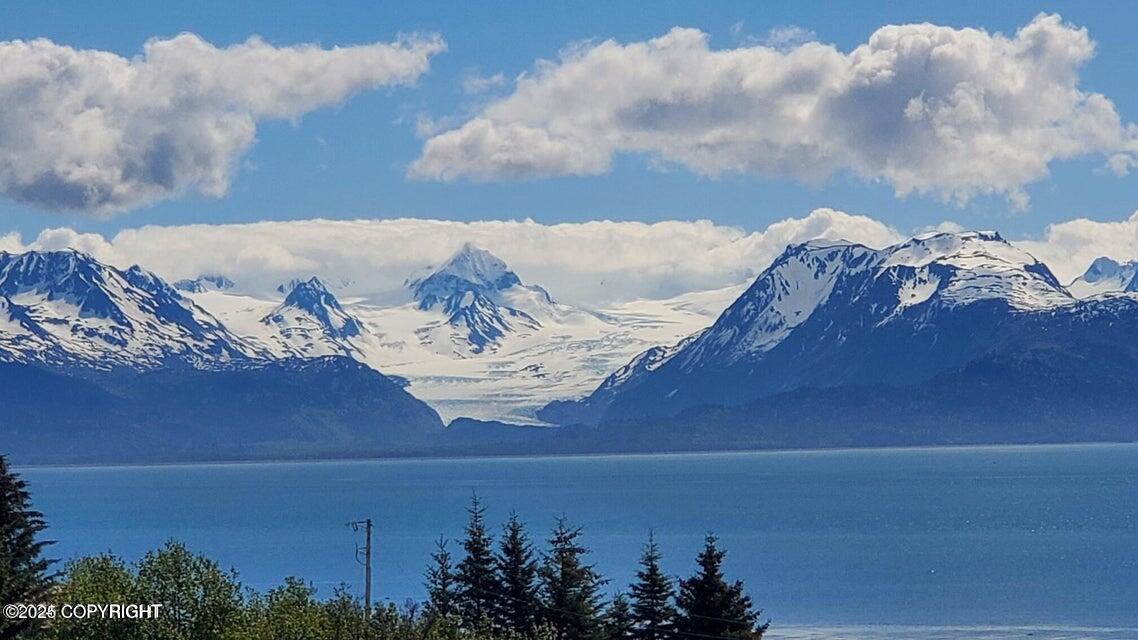 41345 Alan Street, Homer, Alaska image 27