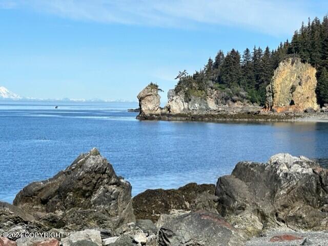 Seldovia, Alaska 99663, United States, 3 Bedrooms Bedrooms, ,3 BathroomsBathrooms,Residential,Active,56115