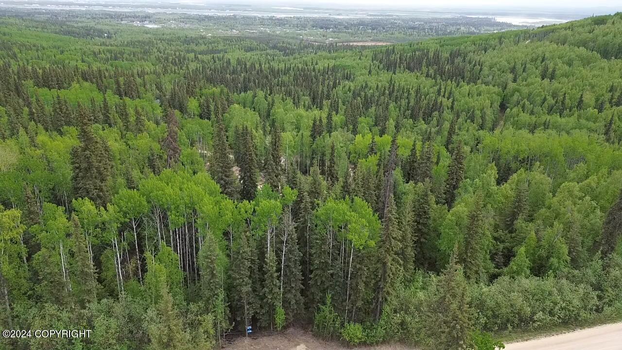 L17 B5 Canterbury Drive, Fairbanks, Alaska image 3
