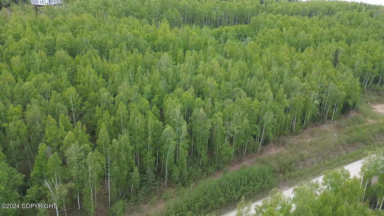 L17 B5 Canterbury Drive, Fairbanks, Alaska image 2