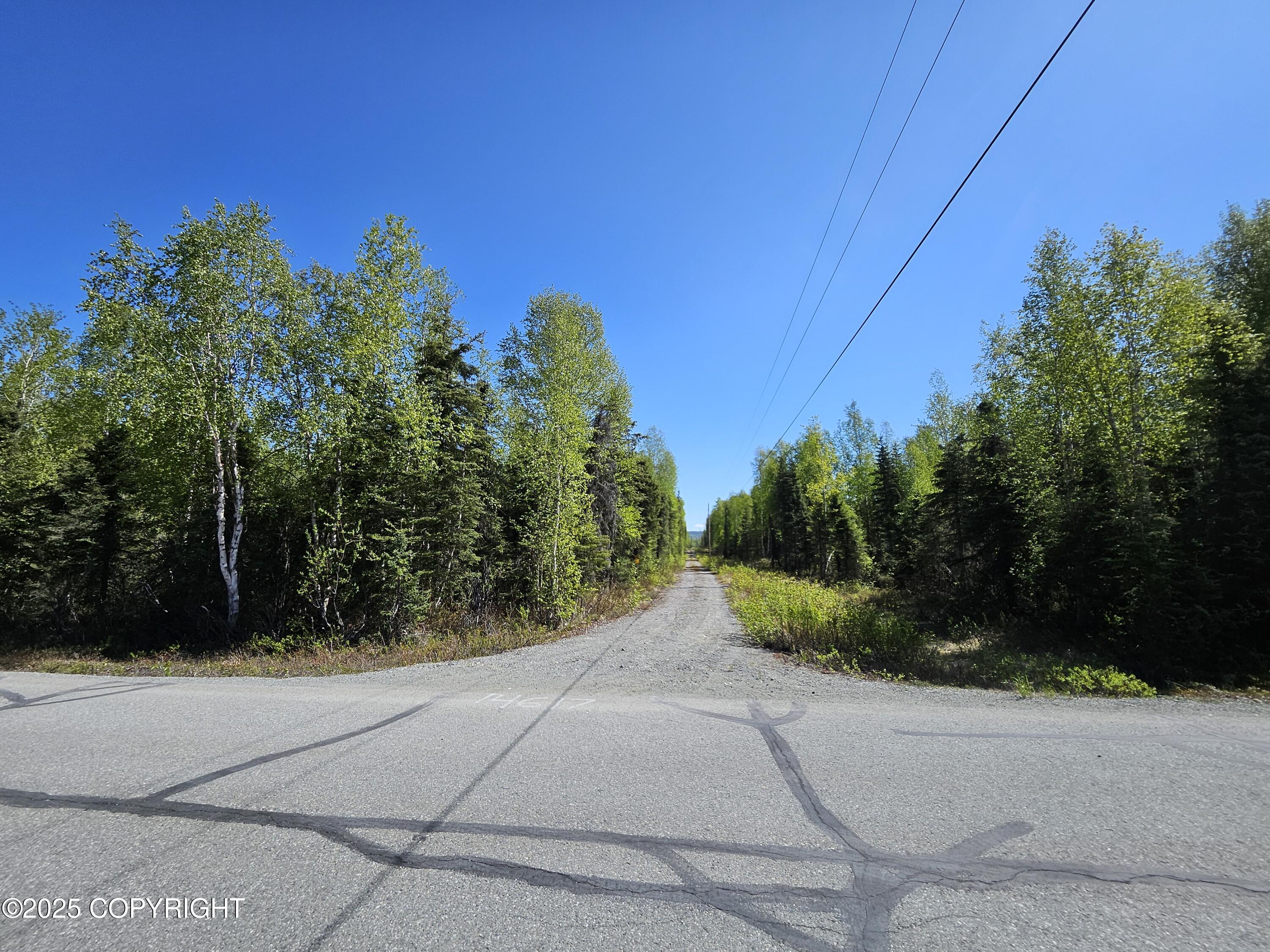 14617 N Four Mile Road, Willow, Alaska image 32