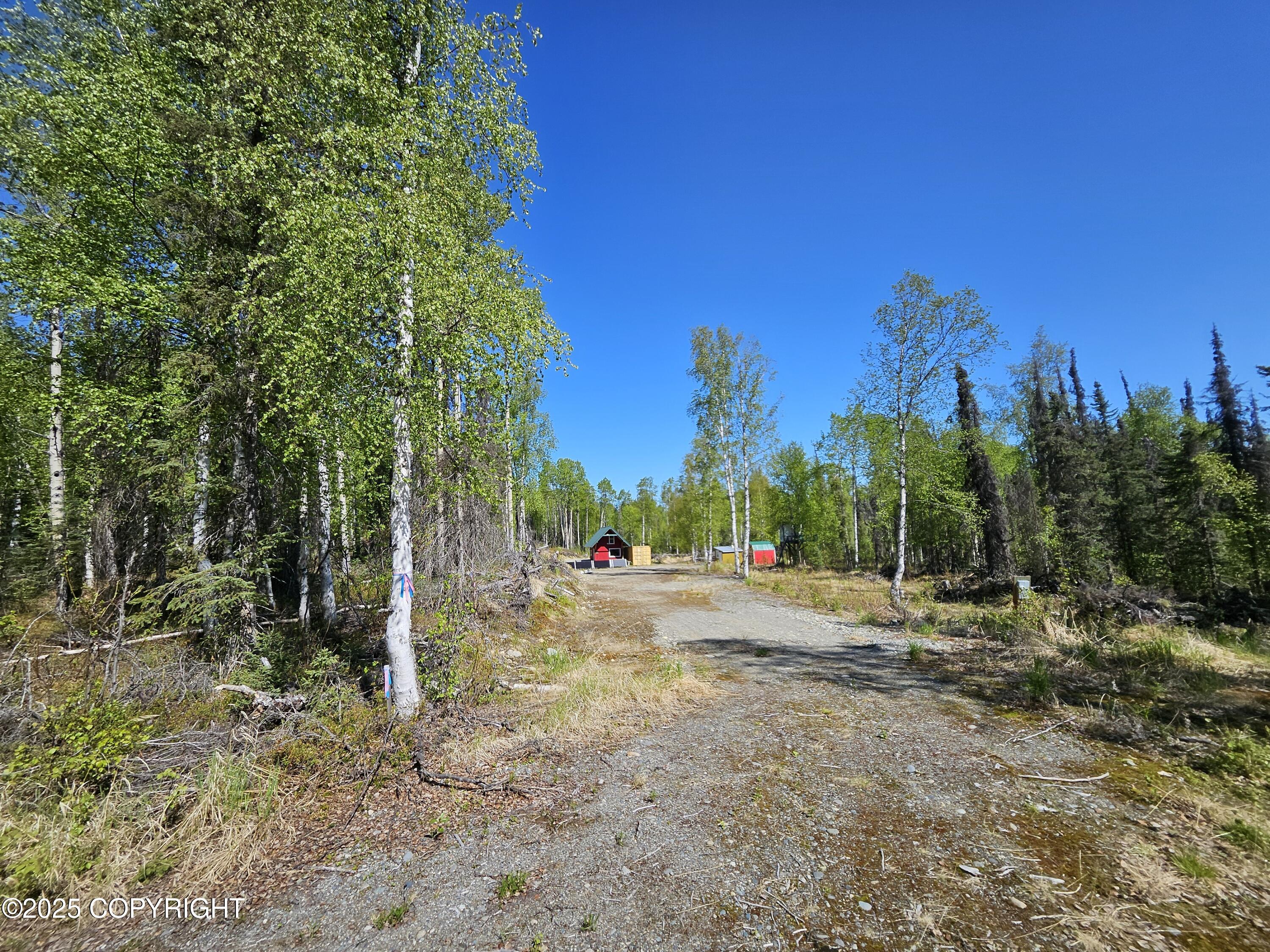 14617 N Four Mile Road, Willow, Alaska image 8