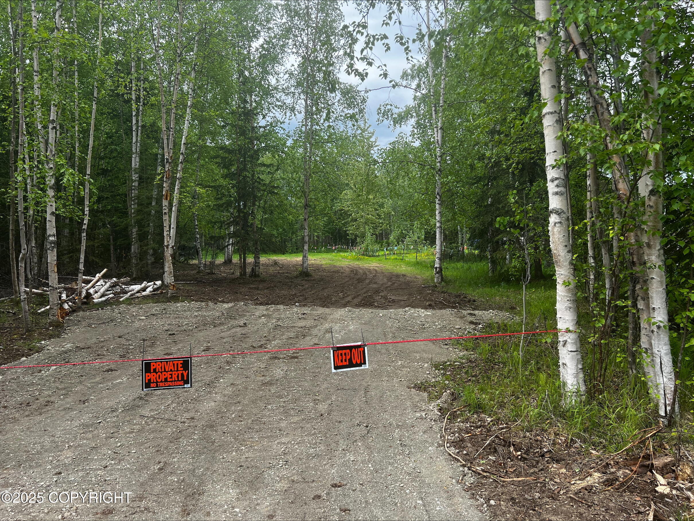 4150 N El Taino Drive, Wasilla, Alaska image 5