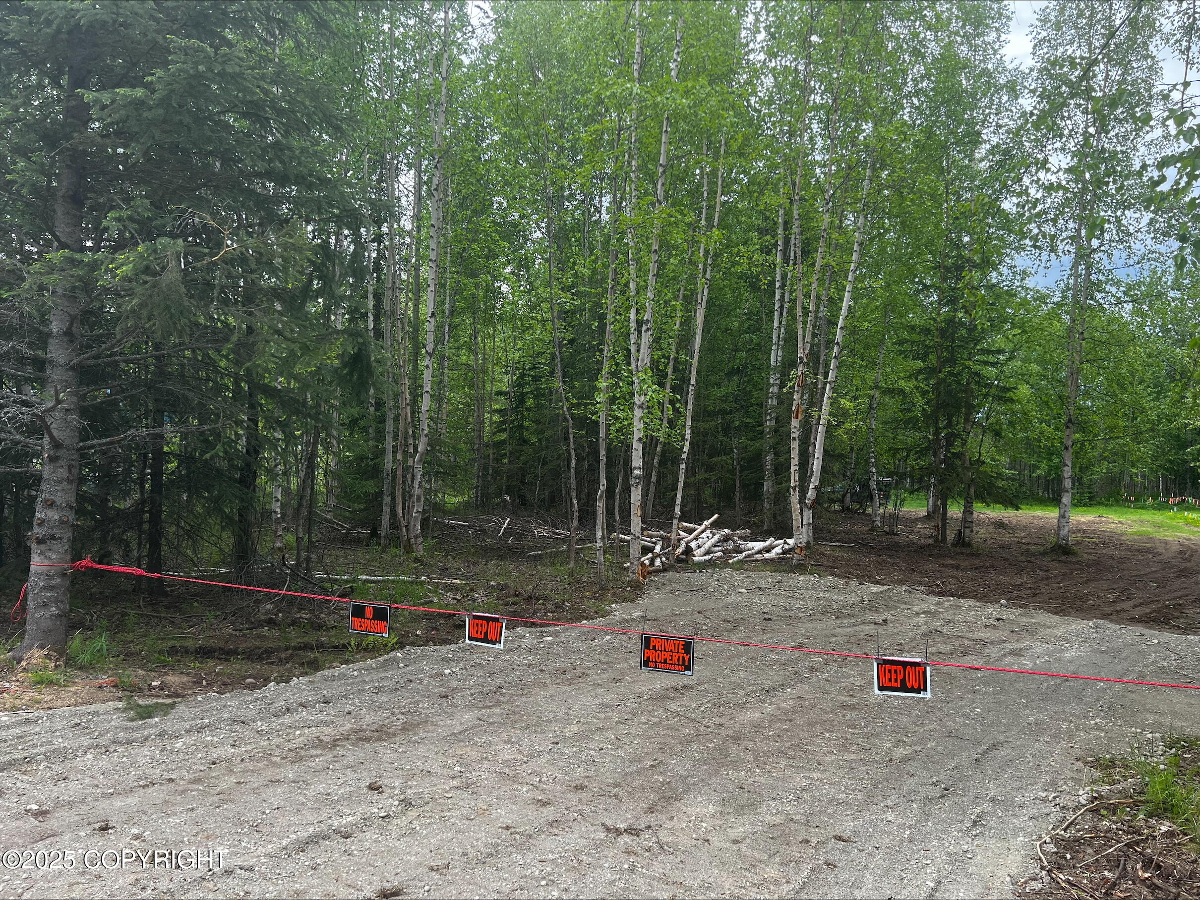 4150 N El Taino Drive, Wasilla, Alaska image 2