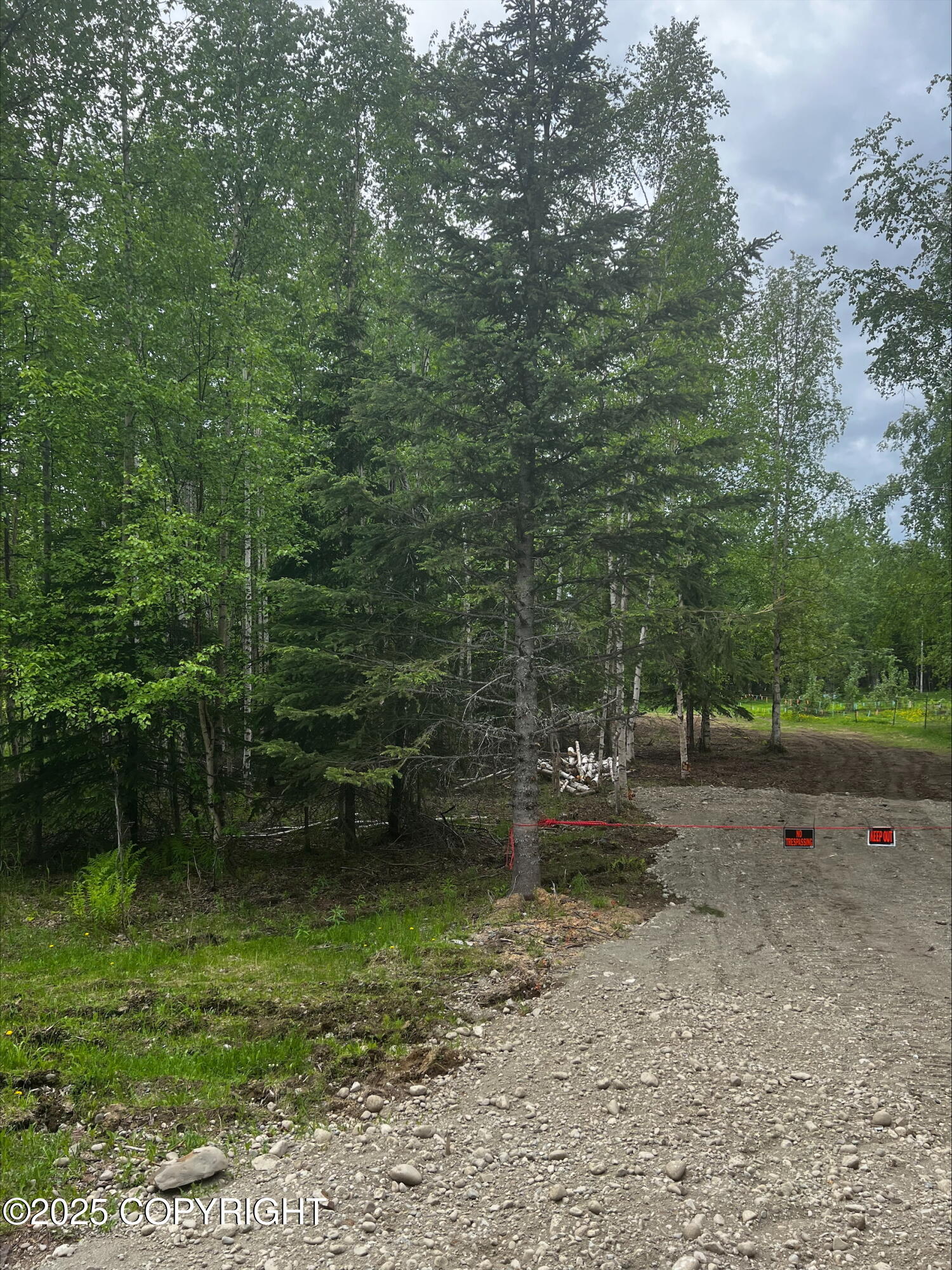 4150 N El Taino Drive, Wasilla, Alaska image 4