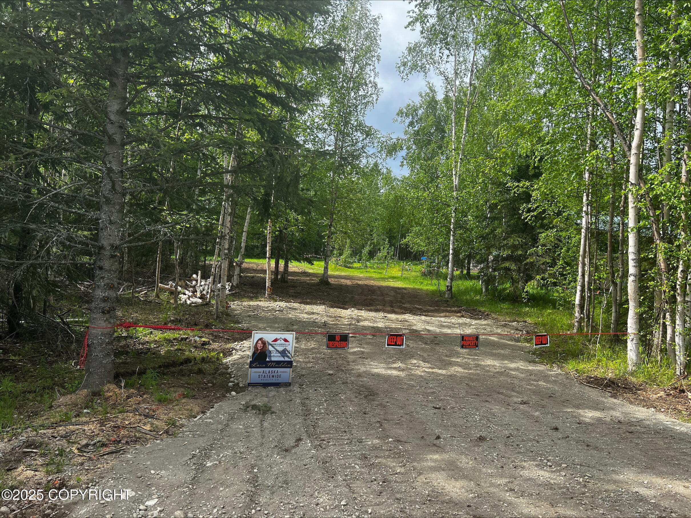 4150 N El Taino Drive, Wasilla, Alaska image 1