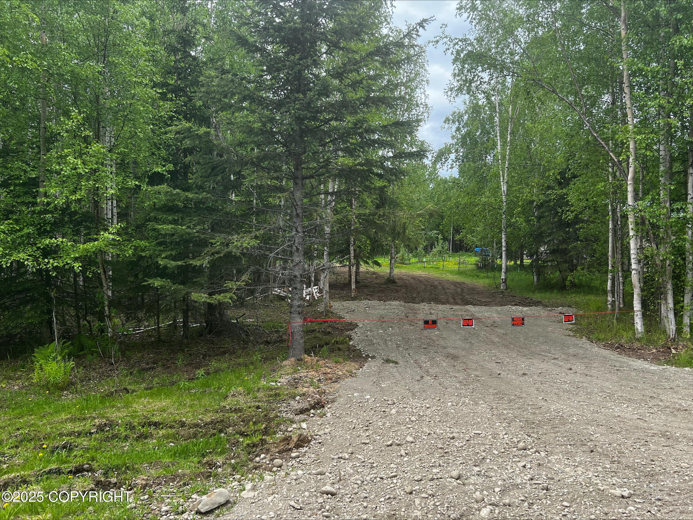 4150 N El Taino Drive, Wasilla, Alaska image 3