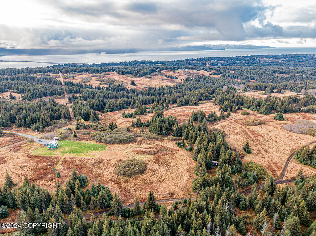 61291 Crossman Ridge Road, Homer, Alaska image 13