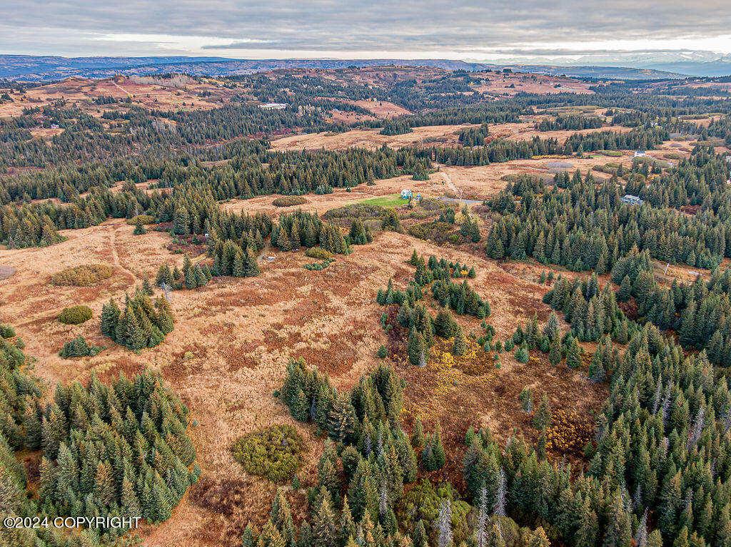 61291 Crossman Ridge Road, Homer, Alaska image 10