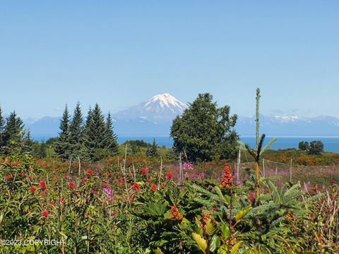 Vacant Land For Sale - 17259 Kimeluk Street<br/> Ninilchik, AK 99639