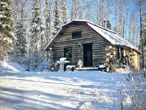 Homes For Sale - 21515 W Loc Lohmand Drive<br/> Big Lake, AK 99652
