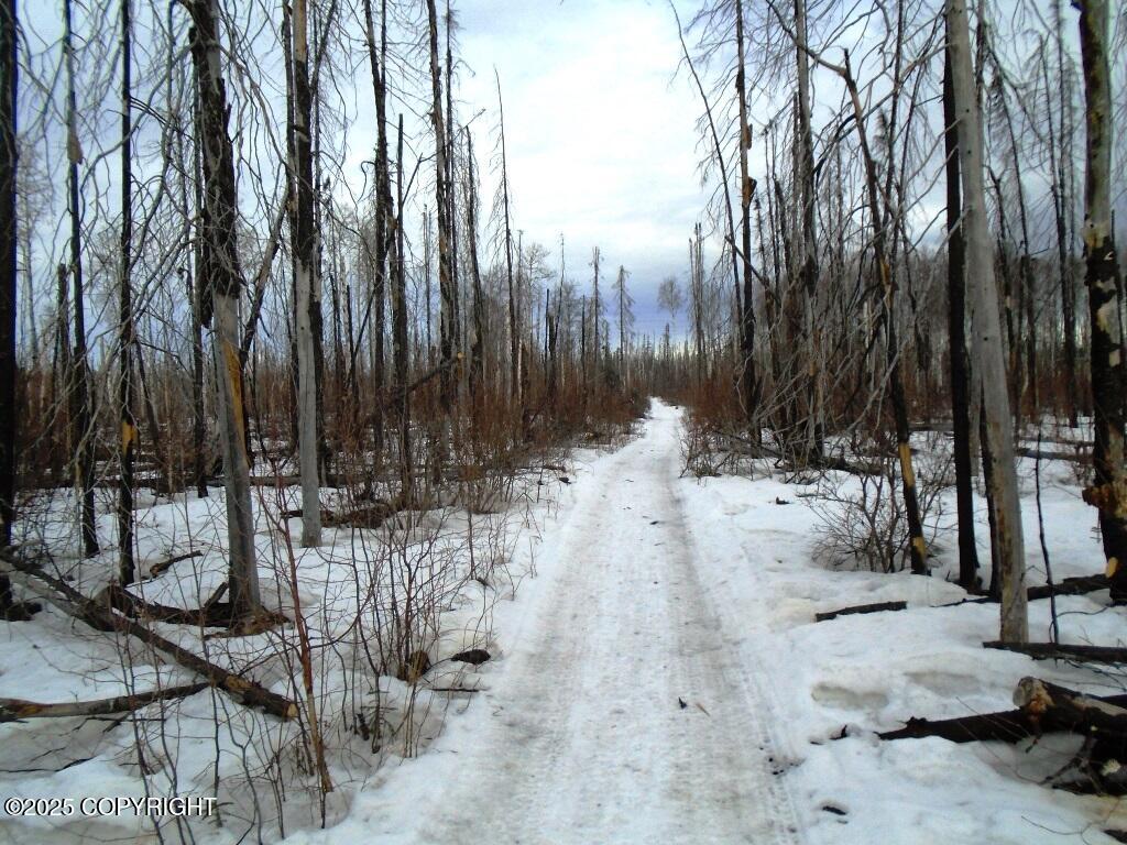 Mile 72 Parks Highway, Willow, Alaska image 4