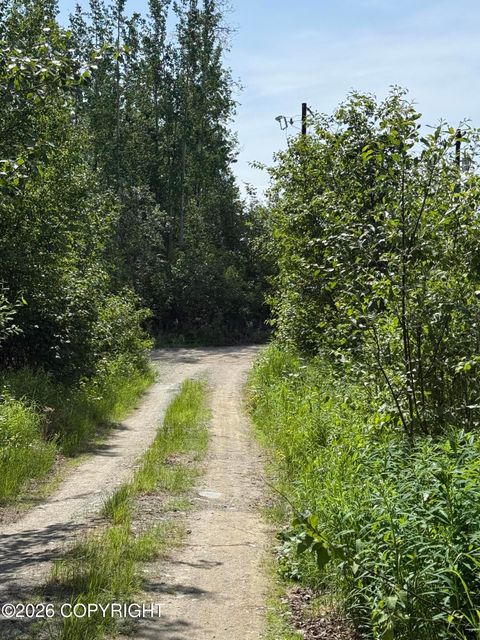 Vacant Land For Sale - 14045 W Aero Lane<br/> Big Lake, AK 99623