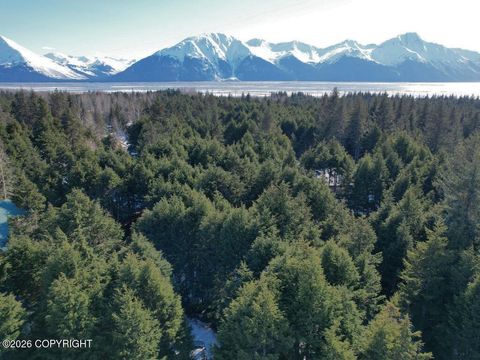 Photo of 169 Agostino Mine Road, Girdwood, AK 99587 (MLS # 26-3898)