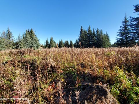 Vacant Land For Sale - 67618 Shavila Road<br/> Ninilchik, AK 99639