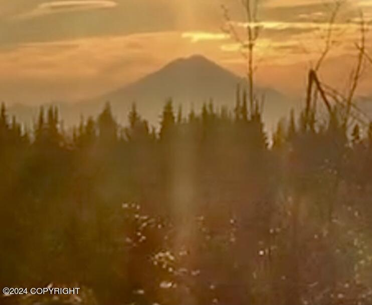 Beatty Avenue, Ninilchik, Alaska image 1
