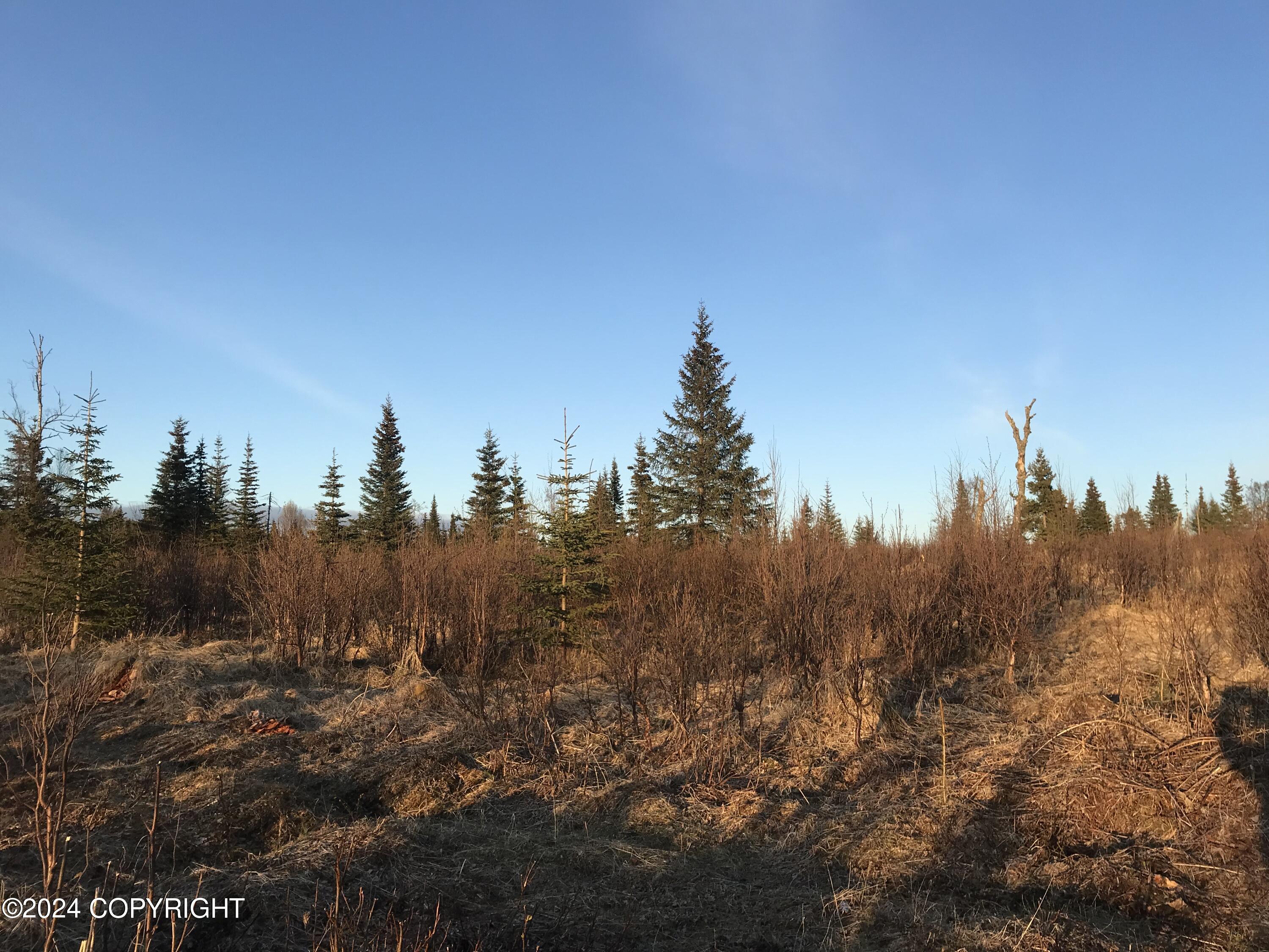 Beatty Avenue, Ninilchik, Alaska image 9