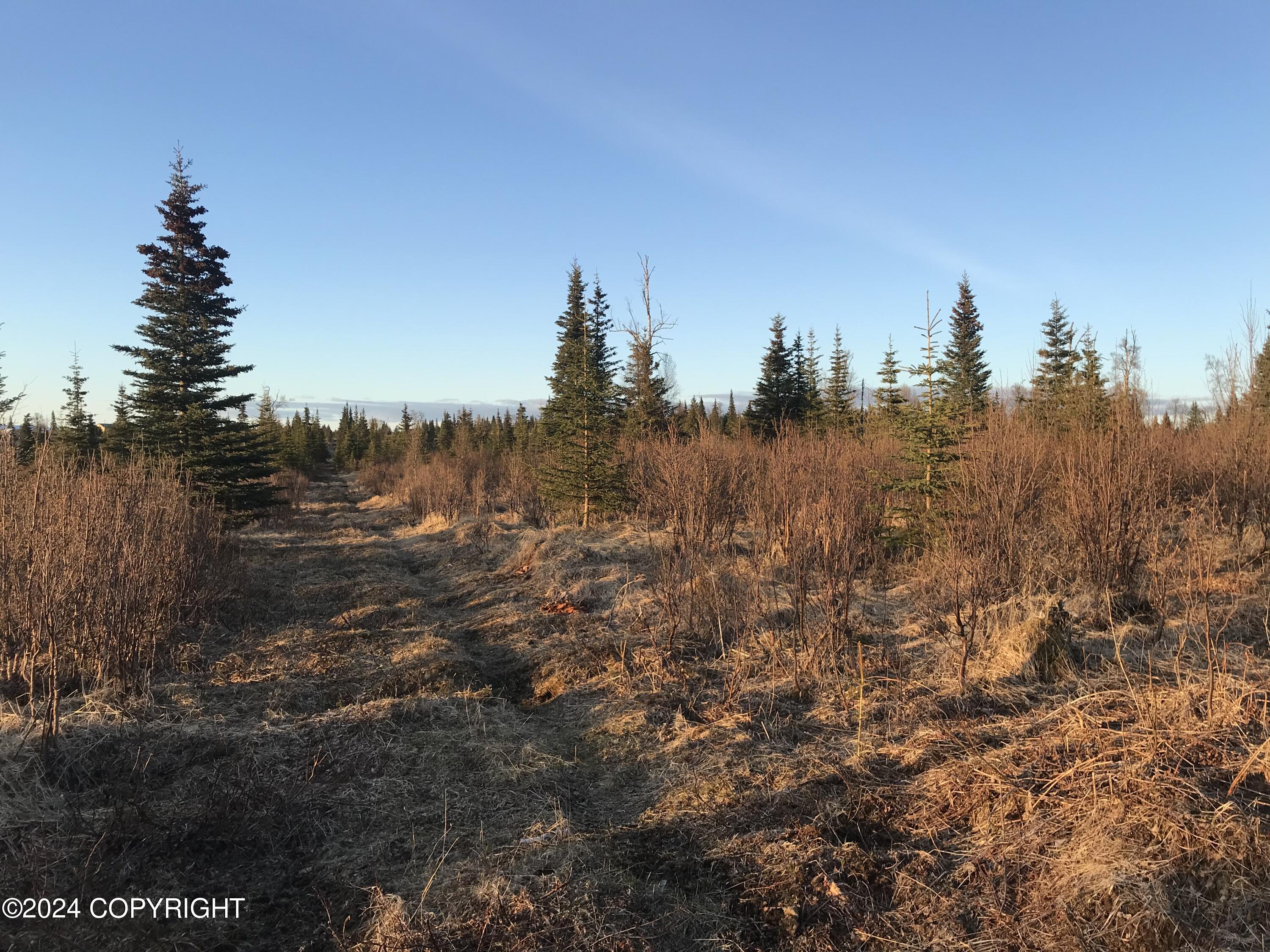Beatty Avenue, Ninilchik, Alaska image 8