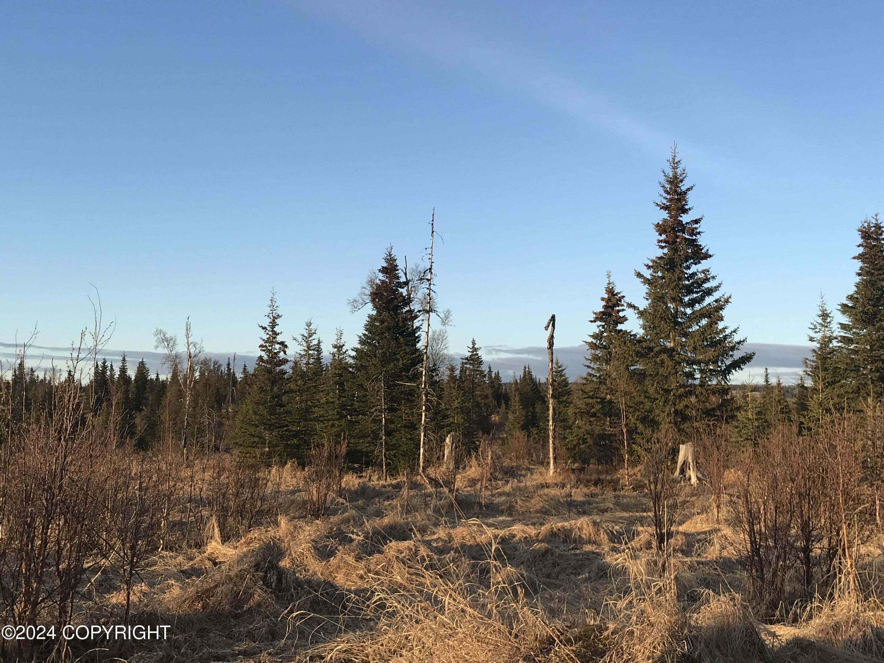 Beatty Avenue, Ninilchik, Alaska image 3