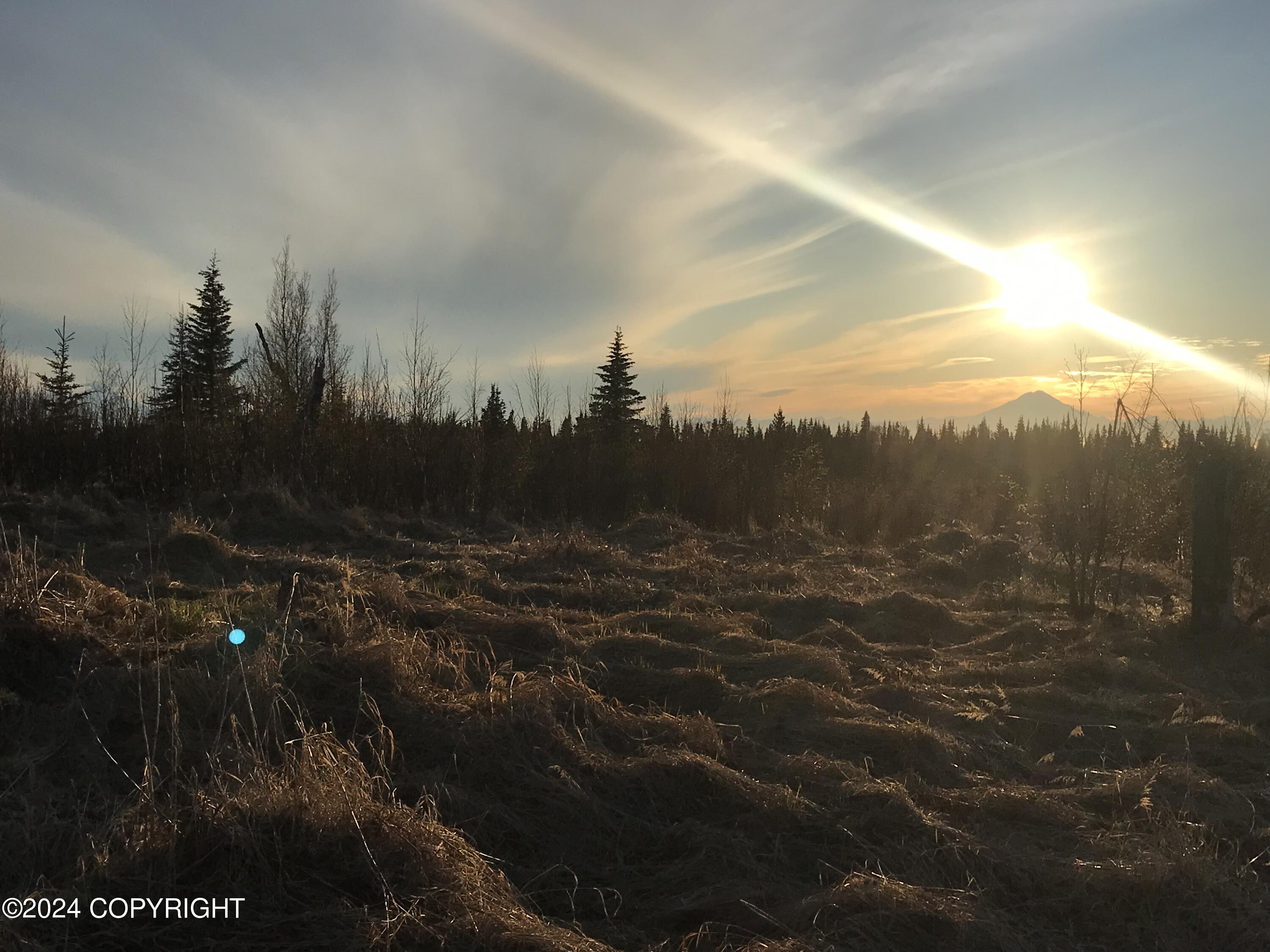 Beatty Avenue, Ninilchik, Alaska image 10