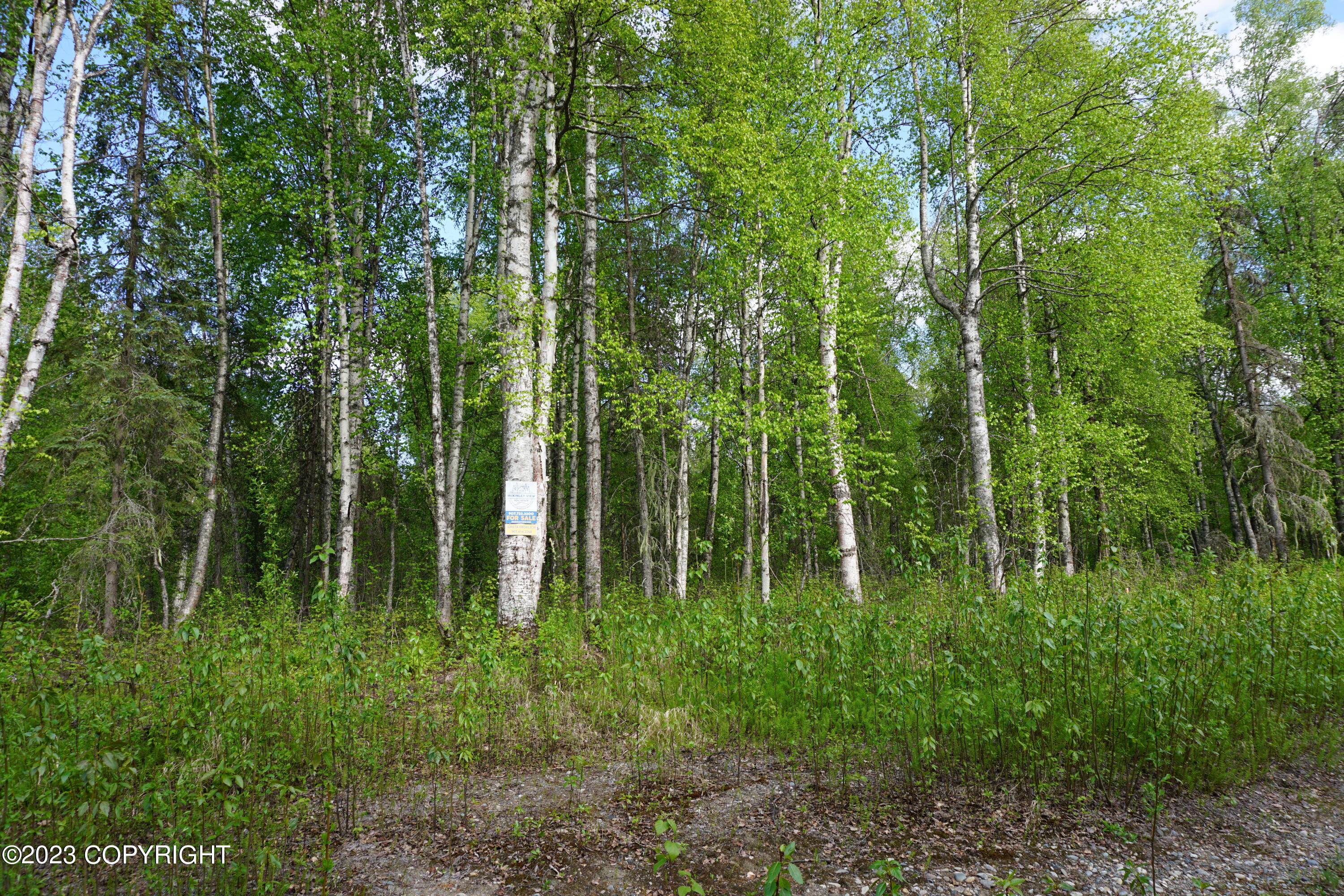 2007 S Clara Circle, Talkeetna, Alaska image 9