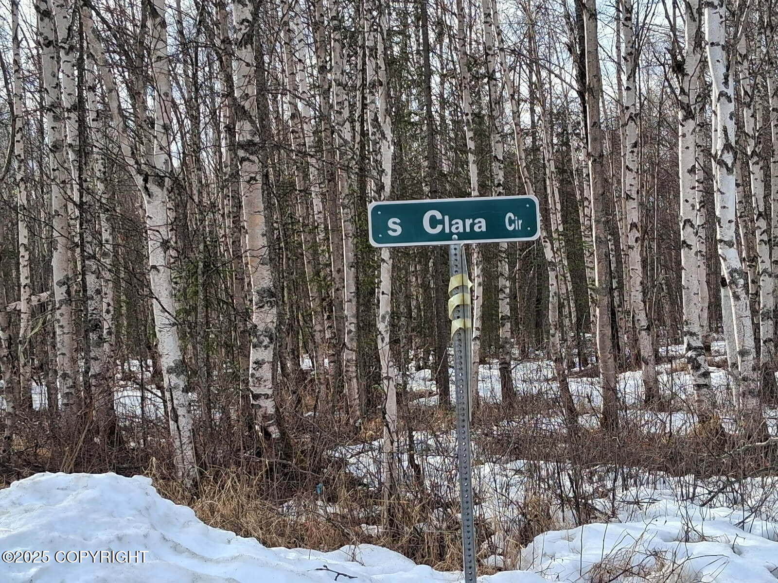 2007 S Clara Circle, Talkeetna, Alaska image 10
