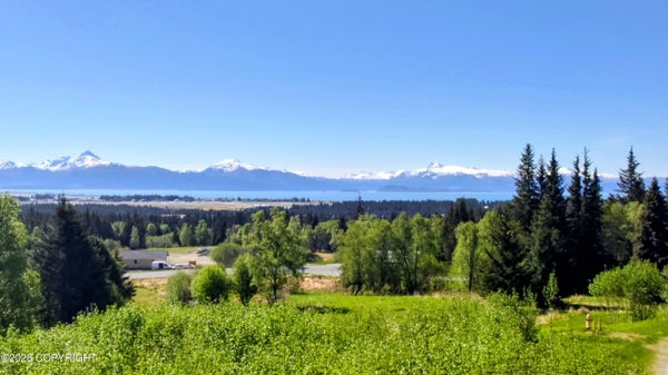4550 CRAFTSMAN RD, HOMER, AK 99603 - Image 42f7264749fef471f0bbf97d5e5607de/814299064