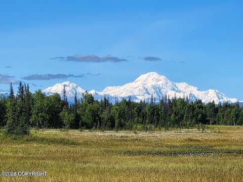 Vacant Land For Sale - 16637 S Laramie Drive<br/> Trapper Creek, AK 99683