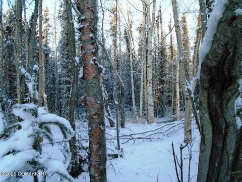 Vacant Land For Sale - 6671 S Lark Circle<br/> Wasilla, AK 99623