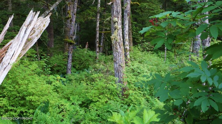 L1 B3 Beach Road, Haines, Alaska image 3