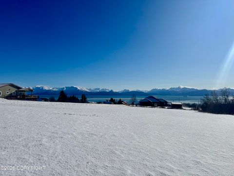 Vacant Land For Sale - 000 Morning Star Road<br/> Homer, AK 99603