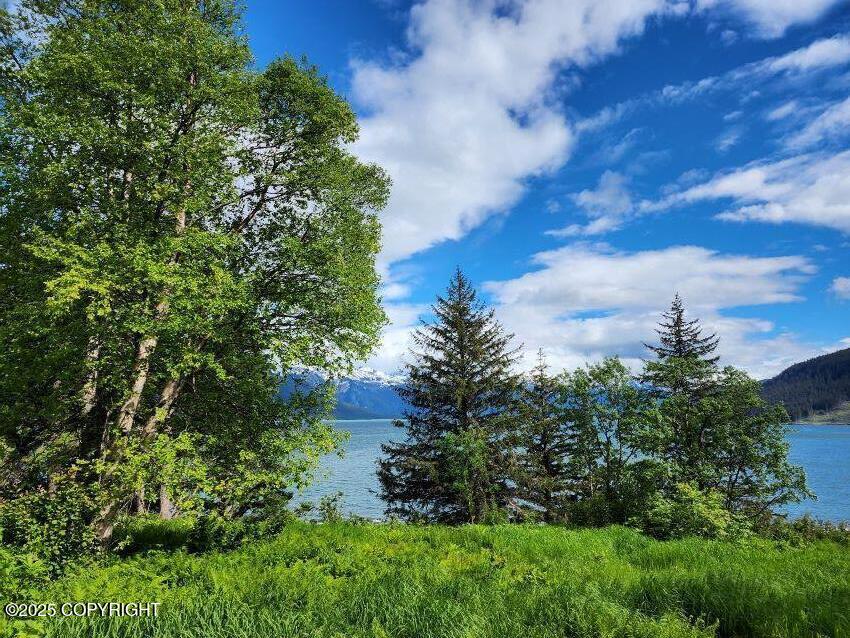 Lot 5 Barnett Street, Haines, Alaska image 3