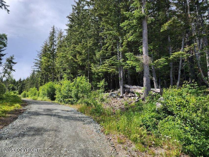 Lot 5 Barnett Street, Haines, Alaska image 8