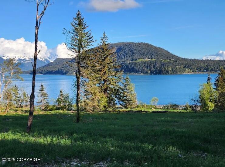 Lot 5 Barnett Street, Haines, Alaska image 1