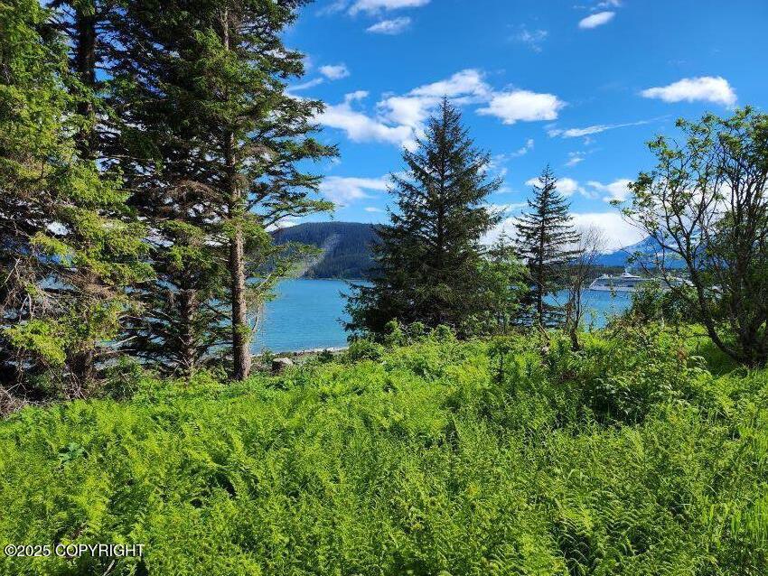Lot 5 Barnett Street, Haines, Alaska image 4